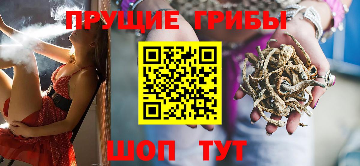 Галлюциногенные грибы ЛСД  Вход с VPN  Вятские Поляны 